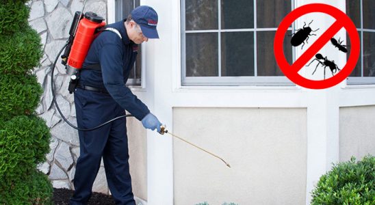 Kadışehri Bit İlaçlama böcek ilaçlama ve haşere kontrolü — ilaclama-tr.com